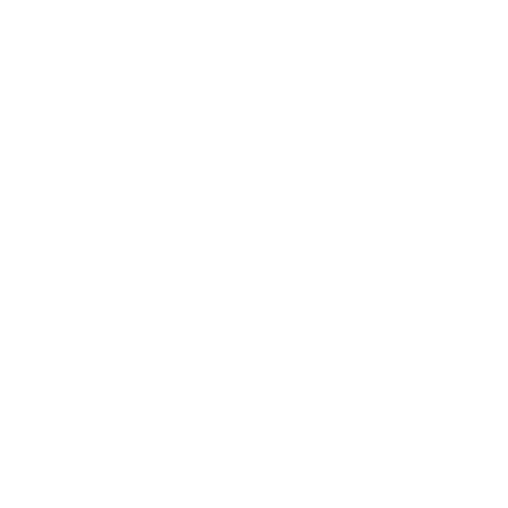 soren & rovner logo big